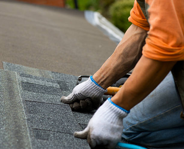 Best Roof Gutter Cleaning  in Ruleville, MS