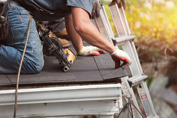 Best Roof Gutter Cleaning  in Ruleville, MS